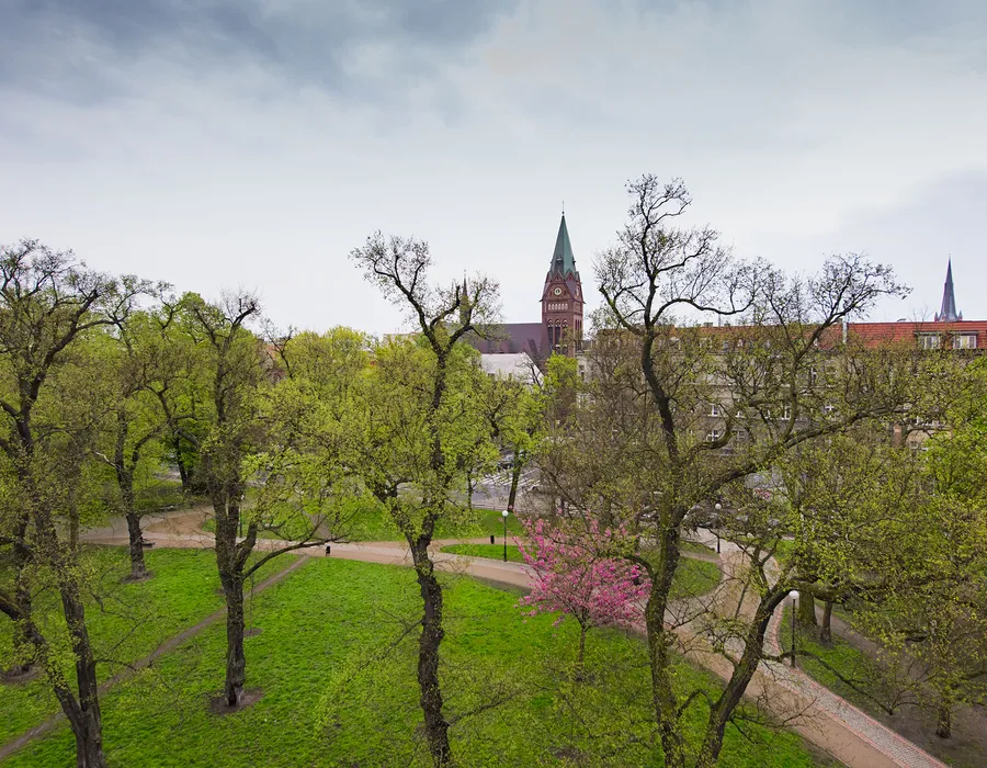 Widok na park i katedrę w Szczecinie
